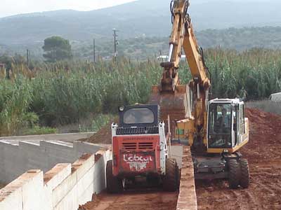 bobcat